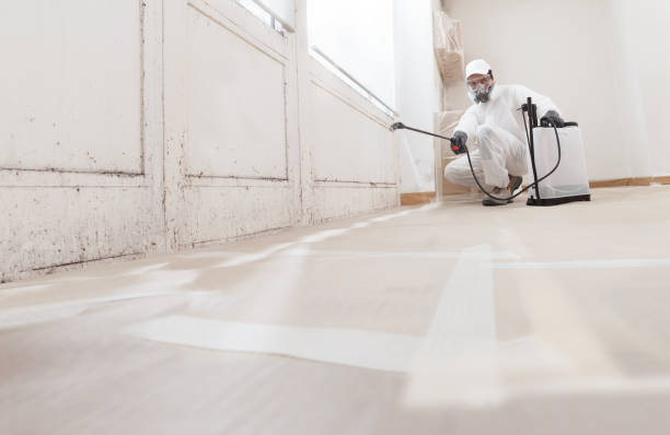 24/7 Emergency Attic Mold Removal experts in Edgewood, MD