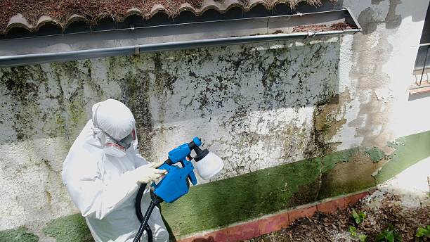 Trusted Commercial Mold Remediation service in Edgewood, MD - Cheap Mold Removal